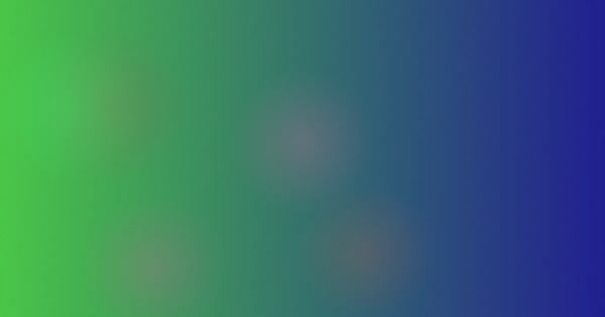 瑞秋库克避坑：别被搬运带跑